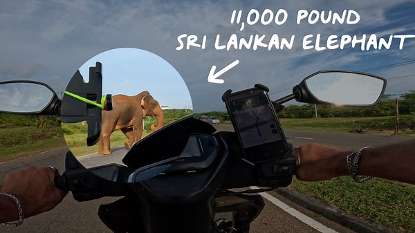 Elephant Charge - Moto Meets Wild Power