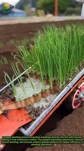 Smart Seedling Transplanter Boosting Farming Speed