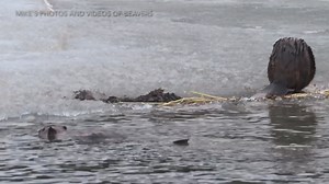 13K views · 1K reactions | In this video from last spring, two...