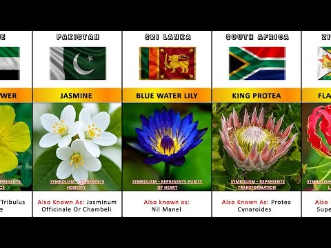 Know These National Flowers Of Different Countries