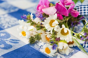 April Birth Flowers: Significance of the Daisy and Sweet Pea | LoveToKnow