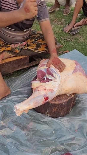 Super Beef Leg🥩Meat Processing Videos #meatbd #reels #shorts #meat #food #foryou