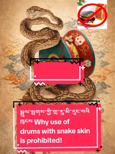 Why Snake Skin on Drums Is Prohibited in Buddhism