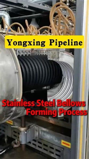 How Bellows Compensator Are Made