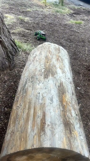 POV : Doing Off-road Stunts with my GRAVE DIGGER RC Car