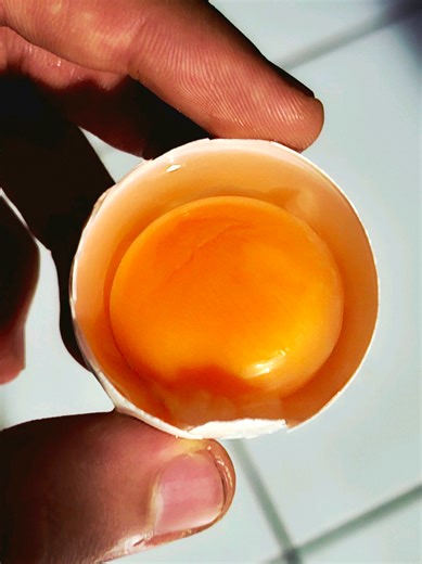 Benefícios do Leite Cru e Nutrição Natural