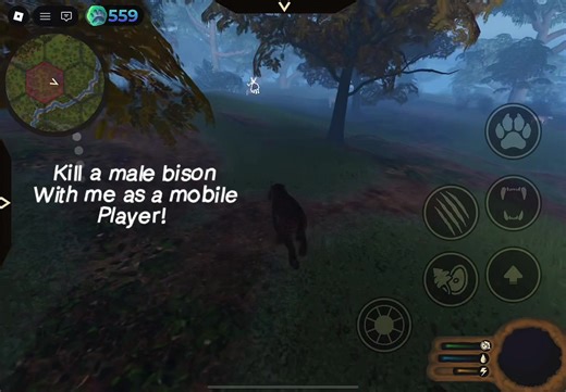 Close Call with Bison Encounter