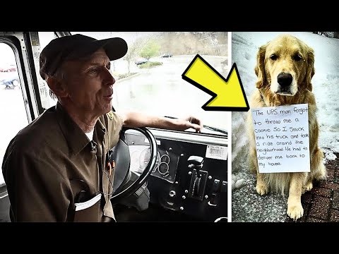 UPS Driver Thinks He’s Rescuing A Lost Dog Until He Reads Note Around His Neck