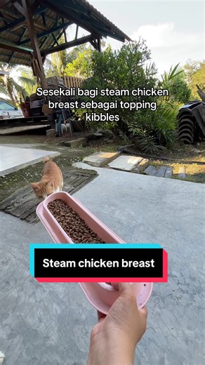 Steam Chicken Breast Recipe for Cats