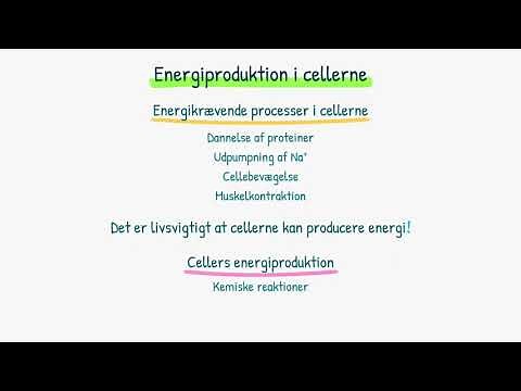 Biokemi: Energiproduktion i cellerne