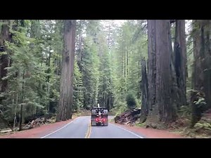 Log Truck driving through the redwood forests