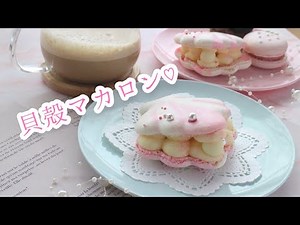 貝殻トゥンカロン🐚韓国マカロン