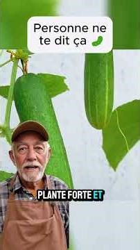 Concombres: Personne ne te dit ça 🥒