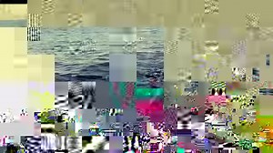 Hvalavinir-Stop whaling in Iceland https://www.change.org/p/ban-whaling-in-iceland | Björk