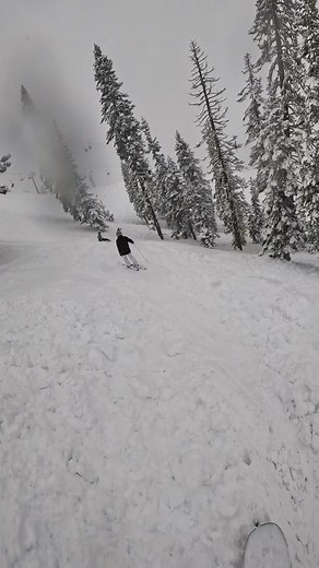 Avalanche Slide Caught on GoPro at Tahoe Resort
