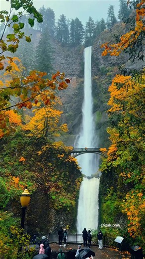 Oregon Waterfall Trails: Where Fall Colors Meet the PNW Forest