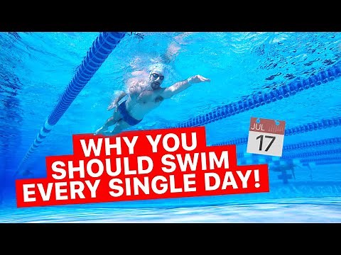 10 Reasons Why You Should Swim Every Day!