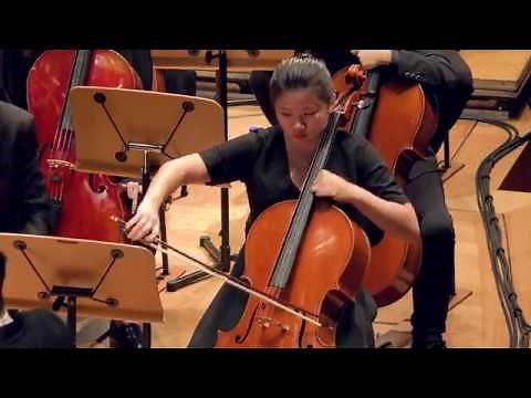 Liang Wern Fook Medley 梁文福精选组曲 - Asian Cultural Symphony Orchestra 亚洲文化乐团