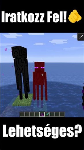 Endermanek megszívatják egymást?