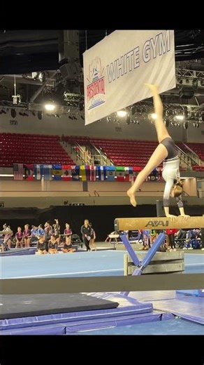 Roc Steady on Beam🖤