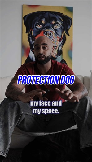 Y’all keep treating protection dogs like it’s a game until someone gets bit in the face. Respect is everything. If your dog is working for a toy but showing signs he doesn’t respect you, that’s not control — that’s a liability. If your dog is challenging you, overly stimulated, or acting like the one in this clip, DM me on IG nd I’ll get you on the phone with a behavior specialist to fix it before it goes too far. Behavior Modification, Dog Training and Mentorship, Host of Canine Intervention on