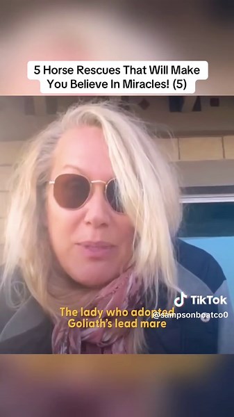 5 Horse Rescues That Will Make You Believe In Miracles! (5)