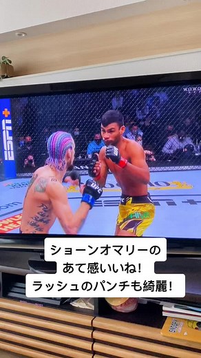 ショーン・オマリーvsハウリアン・パイバ#ショーンオマリー #UFCバンタム級