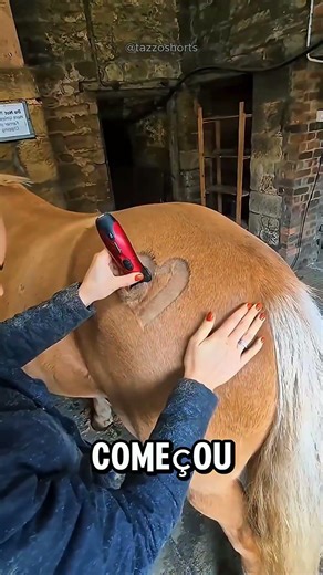 SHE SAID GOODBYE TO HER HORSE 😢🐎