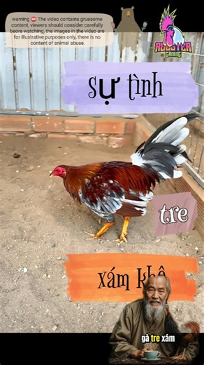 sự tình 🤔 trẻ xám khô