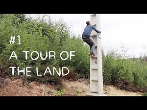 #1 First walk on our a̶b̶a̶n̶d̶o̶n̶ land in countryside Portugal