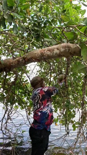 728K views · 2.3K reactions | Sulit ang adventure try to fix fruit of puzzle. Bunga Ng nigi | Kabilas Vlogs | Facebook