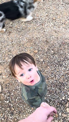 Good morning honks from Oscar the Donkey! #farmlife #donkey #funnydonkey