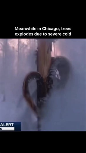 Understanding Frost Cracking in Extreme Cold Weather