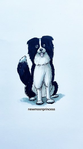 New Moon Princess | KASTALEIA on Instagram: "How to draw a dog 🐶 Border collie edition #drawing #artist #art #howtodraw #bordercollie"