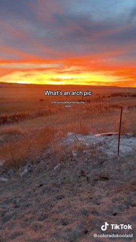 Understanding Arch Pictures: Visual Learning Explained