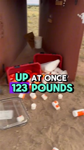 It’s Taco O’Clock Somewhere ⏰🌮 #tacotuesday #dailyfun | 1poundeveryday