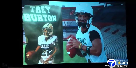 WWSB ABC7 News at 11:00pm - VOD - clipped version florida sports hof