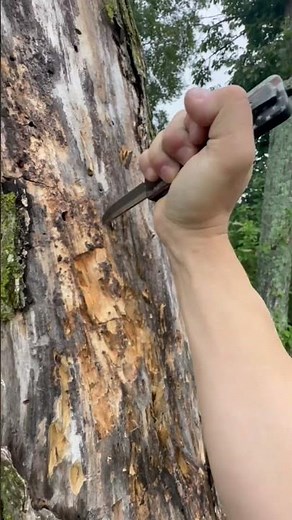 Templar Knife lives up to its name. Mid-price OTF survives my torture tests. #templarknives #otf