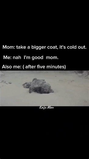 Funny not to share 😂 #gojira #minilla #godzillamemes #snow #kaijuman | Kaiju Man