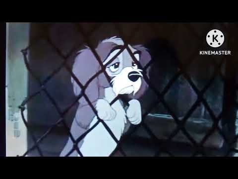 lady and the tramp howling