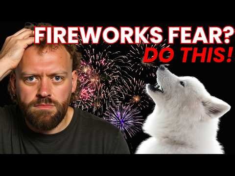 Dog Afraid of Fireworks? Do This!