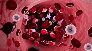 3d rendered medical animation of red blood cells