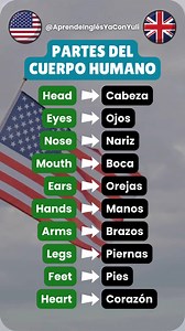 Partes del cuerpo humano en inglés 😎✨ #english #englishlearning #englishvocabulary #englishtips #learnenglish #Ingles #learning | Aprende Inglés Ya con Yuli