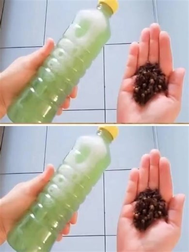 My dog just wanted to pee in the house. But I learned a trick that fixed the problem forever 😎👇 | Pets Are Life