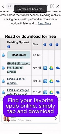 Download EPUB & PDFs Instantly with Neuvoice Web Reader #offlineai