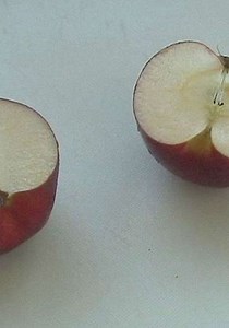 Bloody Words - Movie