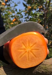 156K views · 550 reactions | Fruit Farm Harvest | Euphoria | Facebook