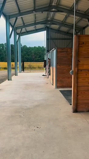 178 reactions · 3 comments | Southeastern Integrated Care’s Equine Therapy Program in Pembroke offers kids and veterans a unique way to recover from mental health challenges like PTSD. These gentle giants provide a calming and supportive environment for patient recovery. And it’s lovely being on the farm! | Anna Stein, First Lady of North Carolina | Facebook