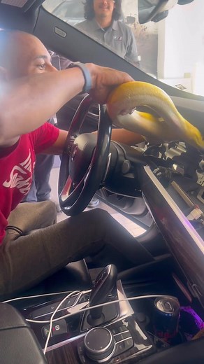 Snake Car Rescue Operation: 10-Foot Python Found in BMW