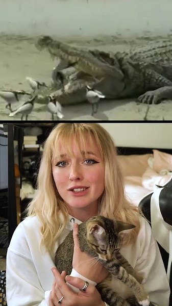 The touching bonds between animals that shouldn’t get along